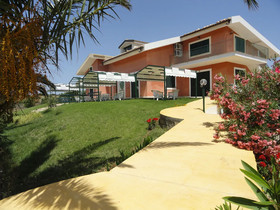 Alficodindia