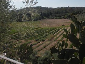 Il Giardino Degli Aromi