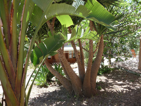 Villa Paladino Solunto