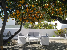 Hotel Villa Petrusa