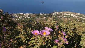 Il Vulcano A Piedi