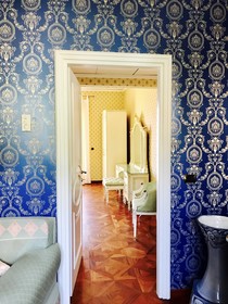 Villa Riis