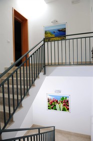 Green Garden