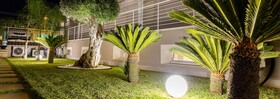 Le Palme