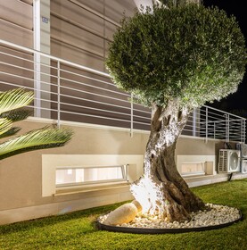 Le Palme