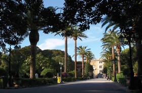 Welive Trapani