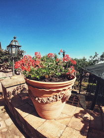 Calliope House-Perfumes of Sicily
