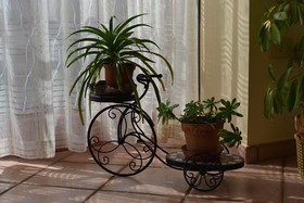 Bed & Breakfast Marena