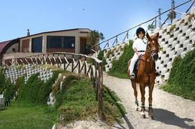 Parco degli Ulivi
