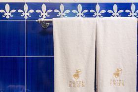 Hotel Eros