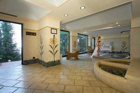 Airone Wellness Hotel