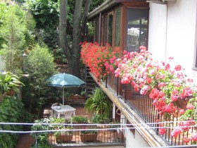 Villa Rosa Etna B&B