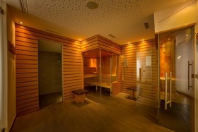 Alpine-City-Wellness Hotel Dominik