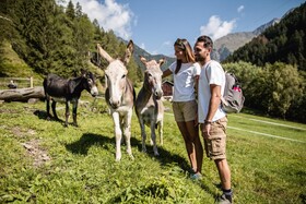 Kristiania Pure Nature Hotel & Spa