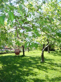 Gasthof WASTL