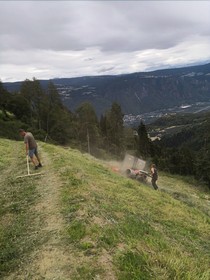 Gallhof