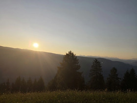 Gallhof
