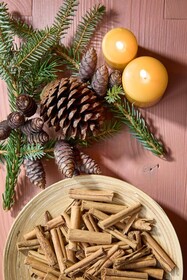 Dolomit Homes & Hotel