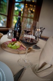 Dolomit Homes & Hotel