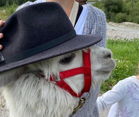 Dolomit Homes & Hotel