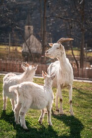 Maraias - Luxury Suites & Apartments