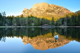 Artnatur Dolomites Hotel & Spa