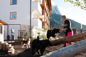 Hotel Schwarzer Adler
