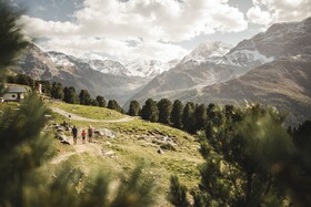 MyPARADIES