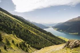 MyPARADIES