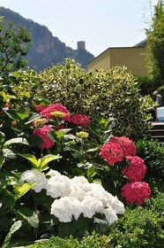 Hotel Weingarten