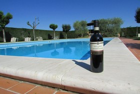 Borgo Delle More