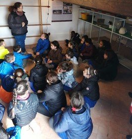 Hostal Badia