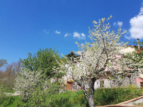Agriturismo Castello Delle Fornaci