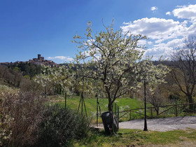 Agriturismo Castello Delle Fornaci