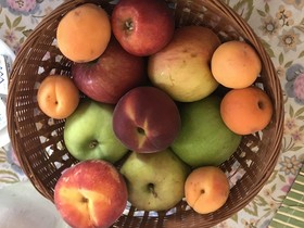 Affittacamere La Musa