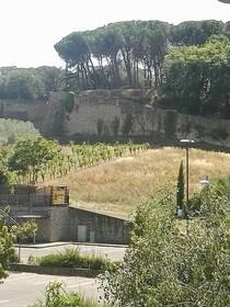 La Torre di Leo