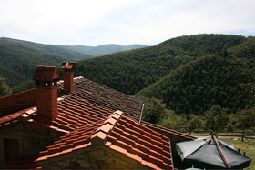 Tribbiano