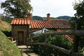 Tribbiano