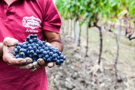 Tenuta di Artimino - Hotel Paggeria Medicea