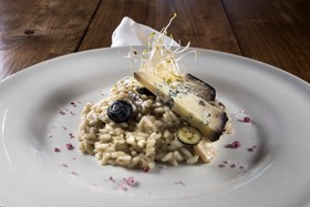 Tenuta di Artimino - Borgo