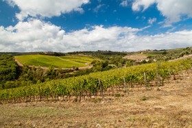 Tenuta di Artimino - Borgo