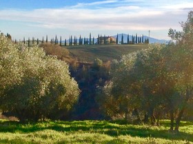 Agriturismo Podere Fornaci