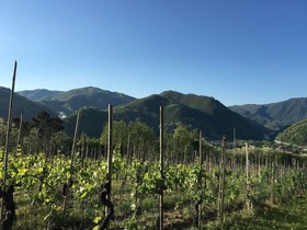 Tenuta La Fratta