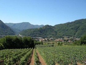 Tenuta La Fratta