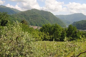 Tenuta La Fratta