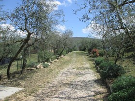 Agriturismo il Colle
