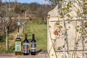 Fattoria Di Rimezzano