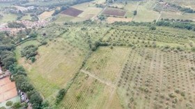 Fattoria Di Rimezzano