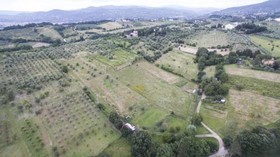 Fattoria Di Rimezzano