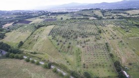Fattoria Di Rimezzano
